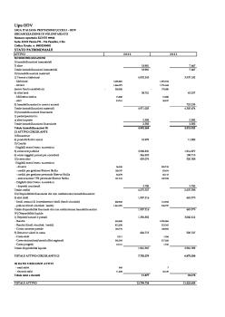 Stato patrimoniale 2022.pdf