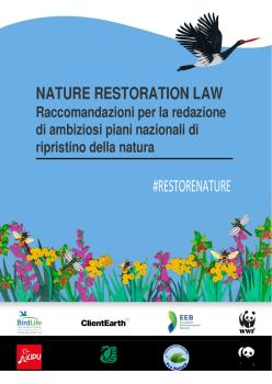 Guida NRL_Piani ripristino_IT.pdf