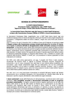 SCHEDA SITO PDF.pdf