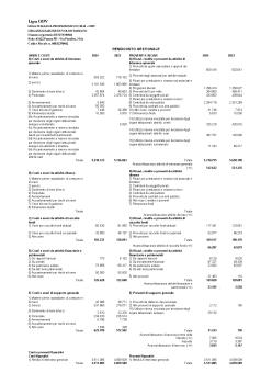 Rendiconto gestionale 2024.pdf