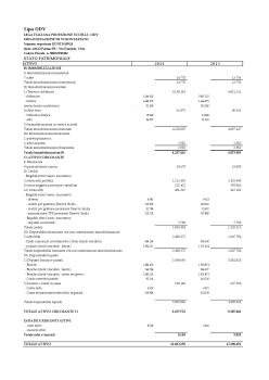 Stato patrimoniale 2024.pdf