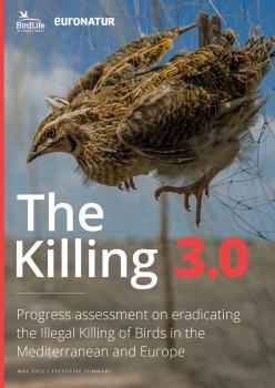 Summary_The Killing 3.0.pdf
