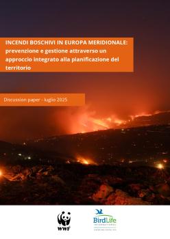 incendi_WWF-BIRDLIFE_final.pdf