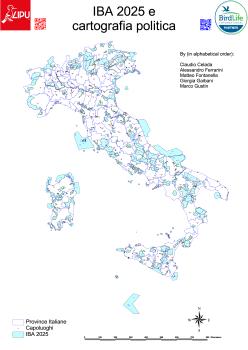 iba_2024_iba_e_cartografia_politica.pdf