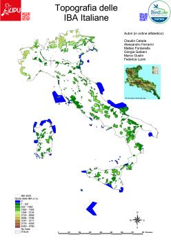 iba_2024_iba_e_topografia.pdf