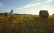 Agricoltura