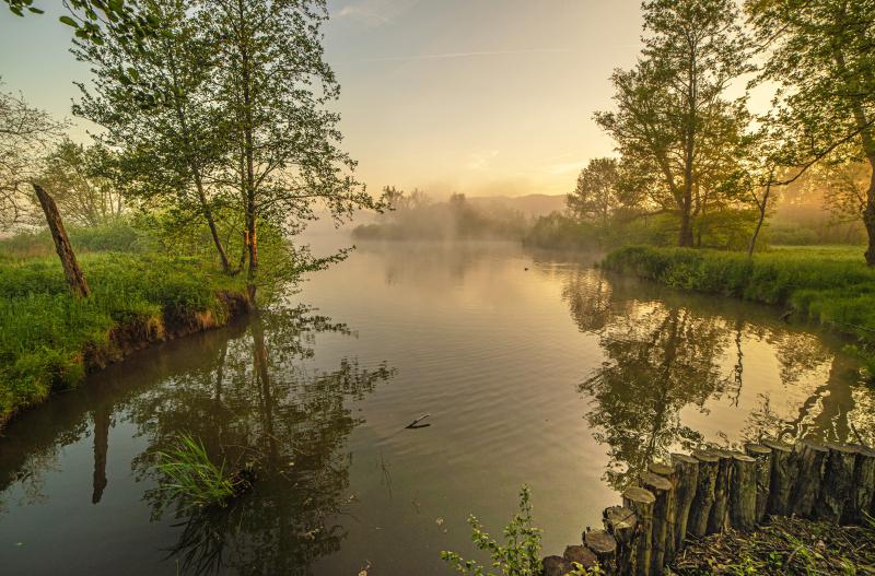 Palude Brabbia