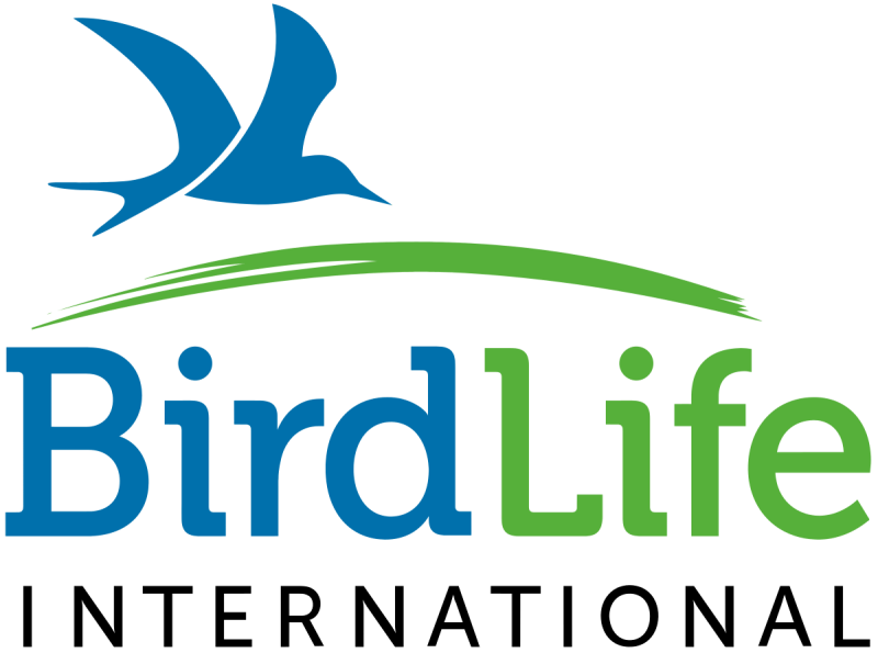 Il logo