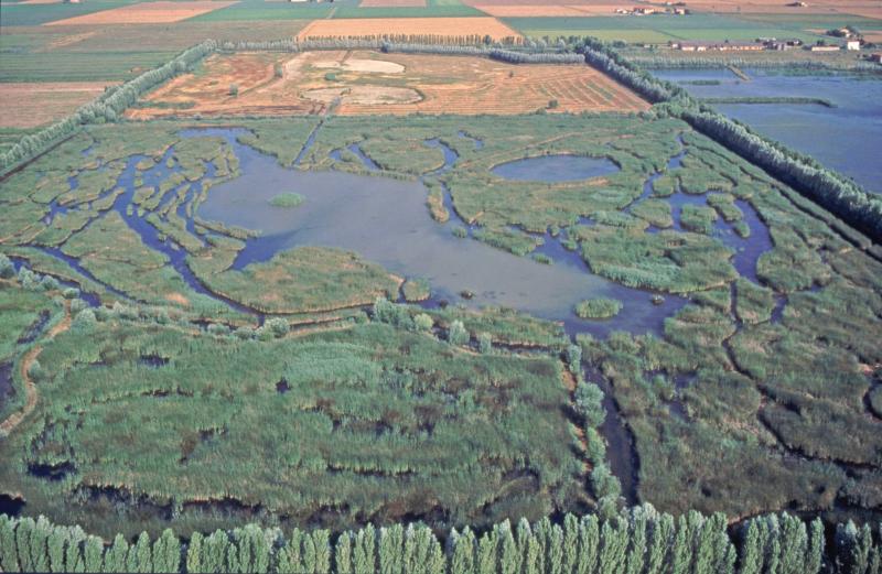 Un ripristino di zona umida in Emilia-Romagna