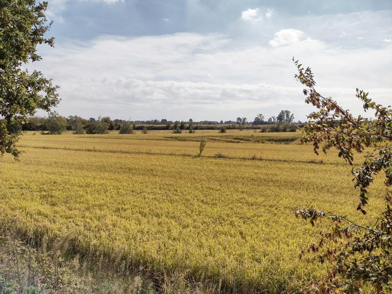 Ambiente agricolo