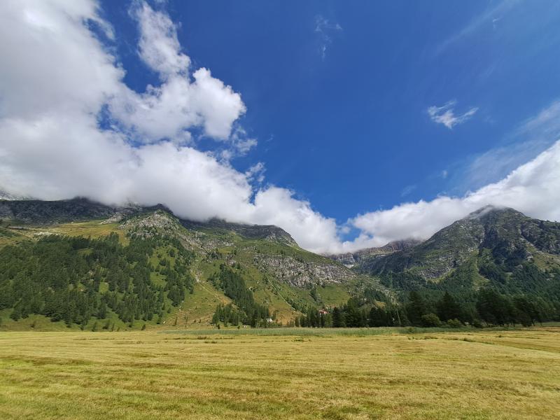 La torbiera dell'Alpe di Devero