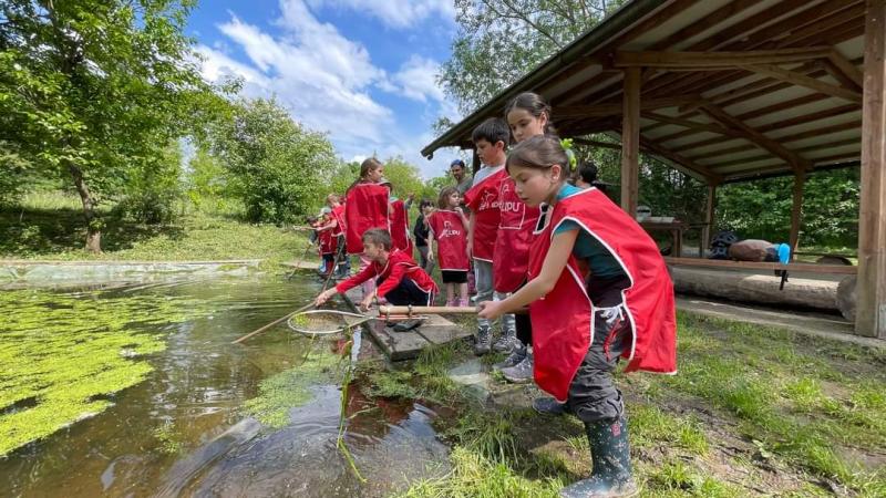 Bambini allo stagno