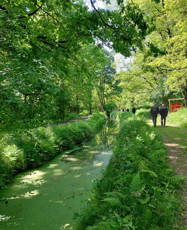 Passeggiata al Bosco del Vignolo