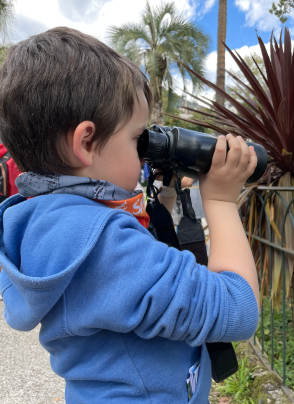 Il piccolo birdwatcher