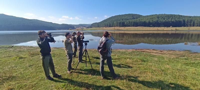Un'attività di birdwatching