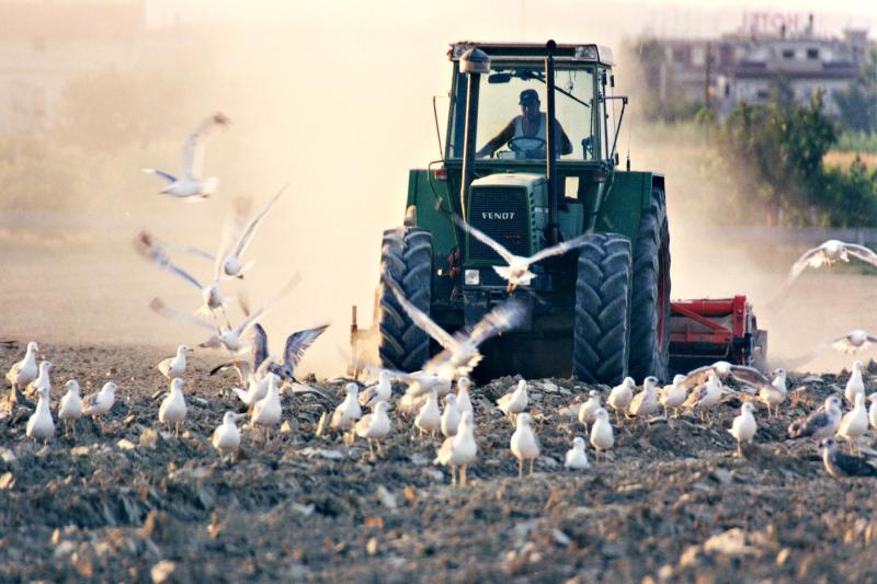 Agricooltura