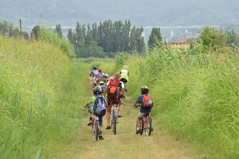I campi a Massaciuccoli