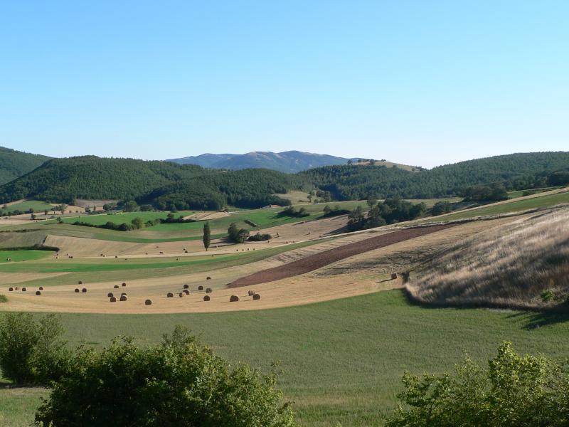 Paesaggio agricolo