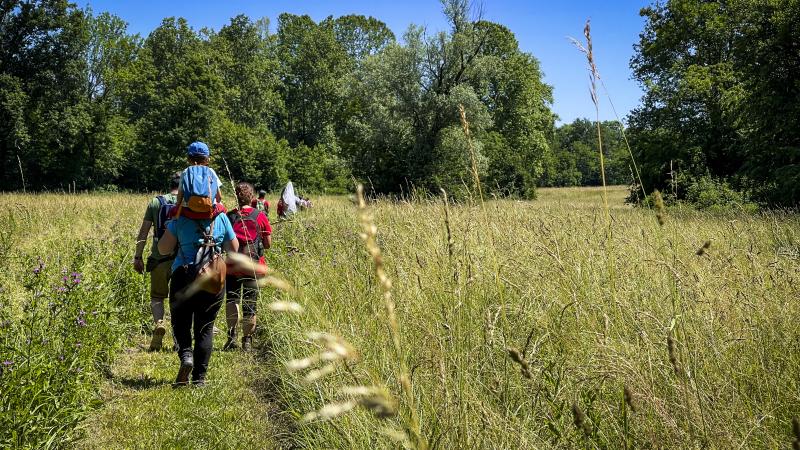 Natura alla Riserva Palude Brabbia (VA)
