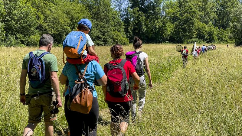 Riserva naturale Palude Brabbia