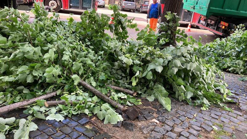 L'intervento in Viale Europa a Roma