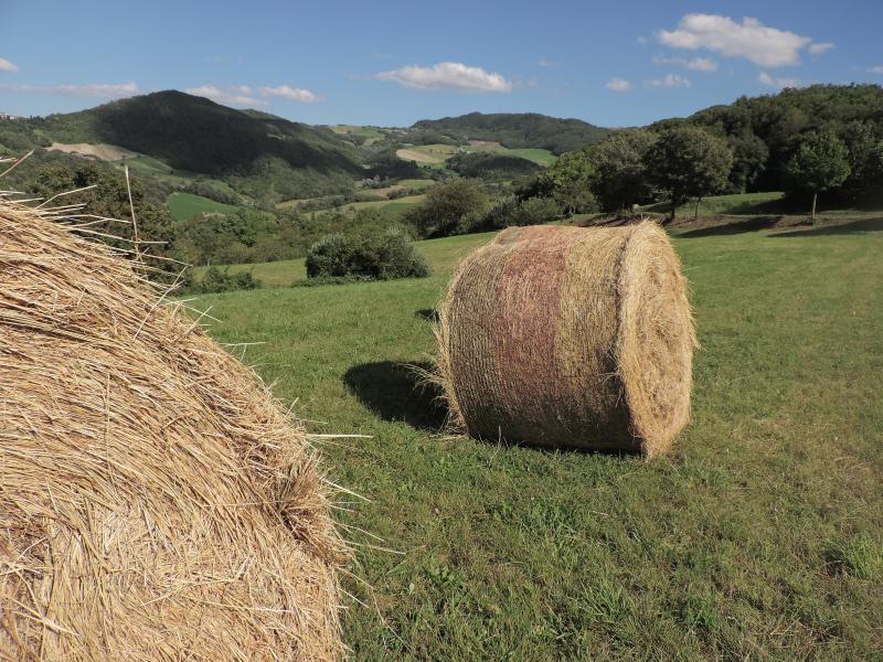 Agricoltura in collina