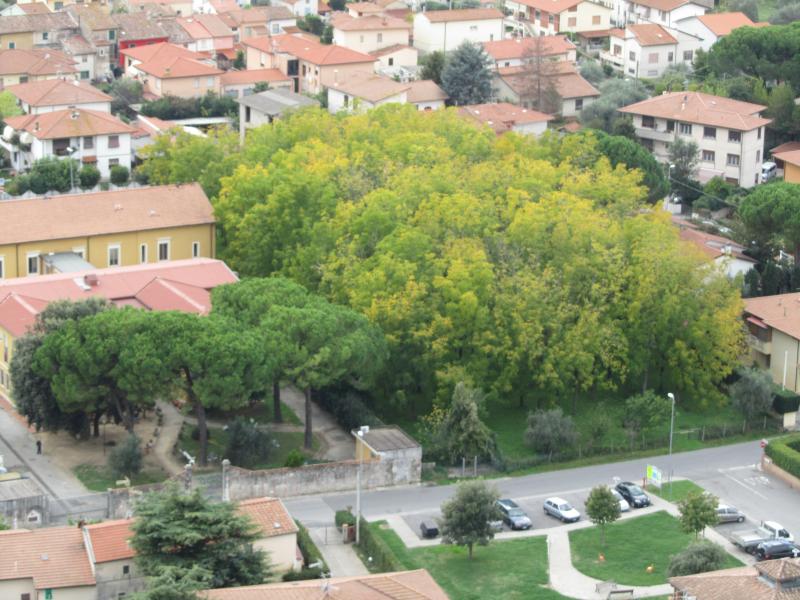 Verde in città