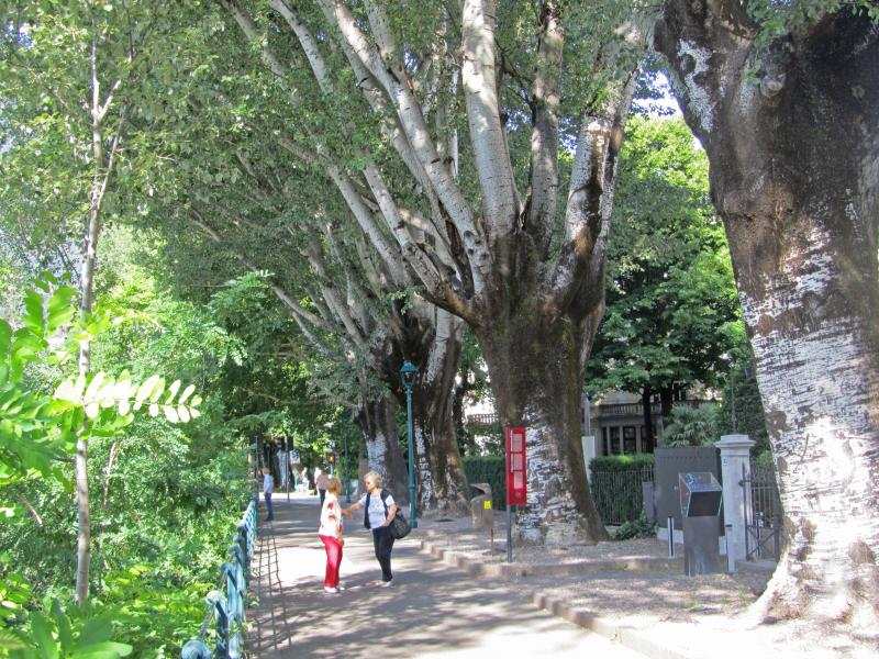 Verde urbano a Merano