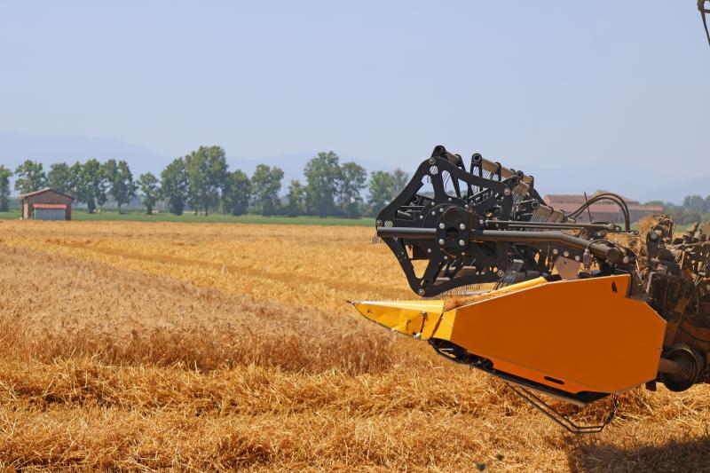 Agricoltura in pianura padana
