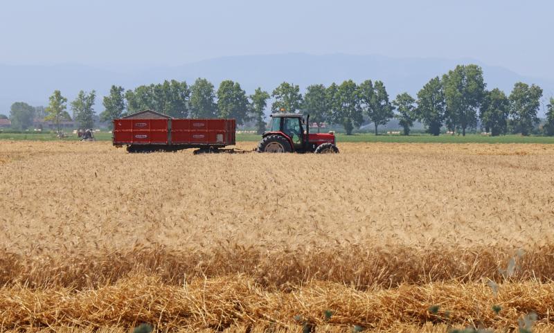 Attività agricola in pianura padana