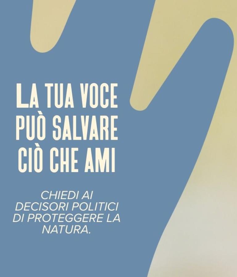 Hands Off Nature