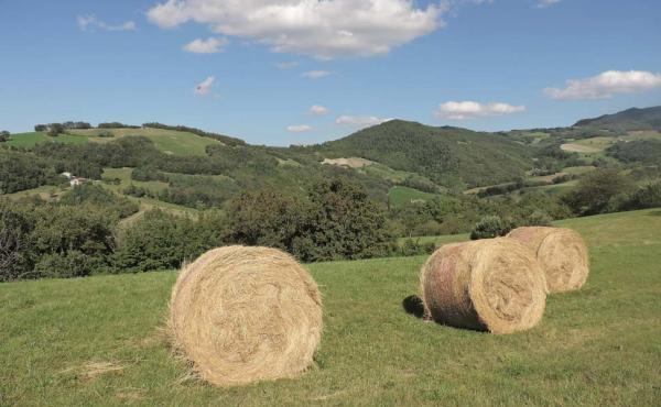 Foto Andrea Mazza Andrea Mazza