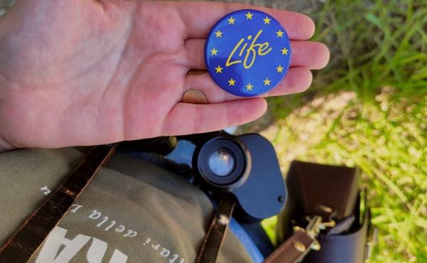 foto logo life