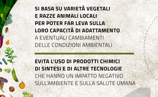 Agrieco7