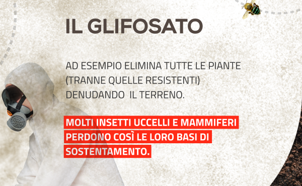 Glifosato