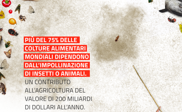 Pesticidi6