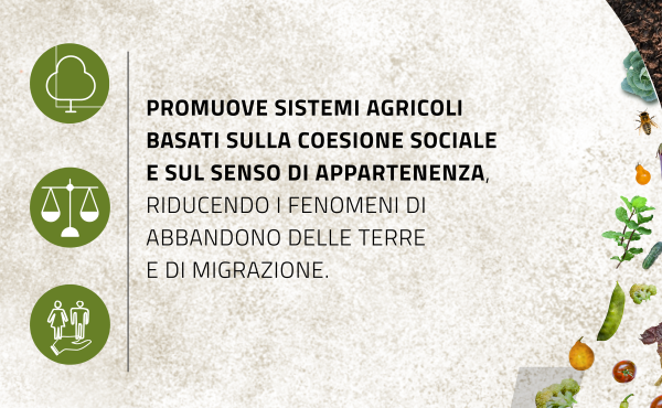 Agrieco7