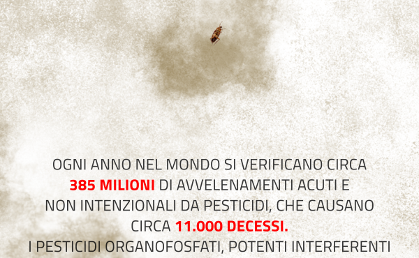 Pesticidi7