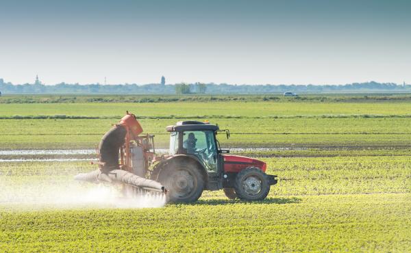 Irrorazione di pesticidi su una coltivazione di soia