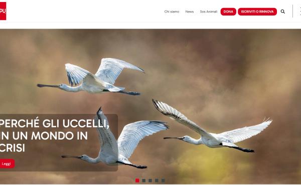 La home page del nuovo sito, particolare