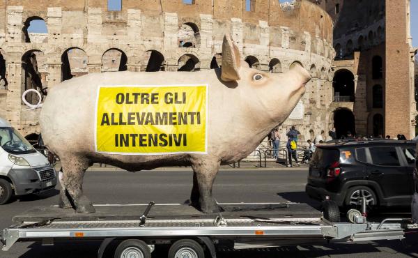 Un momento della campagna 