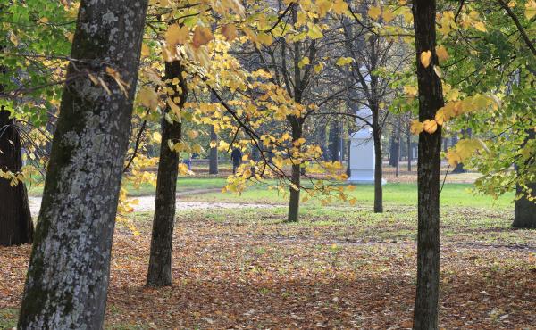 Parco urbano