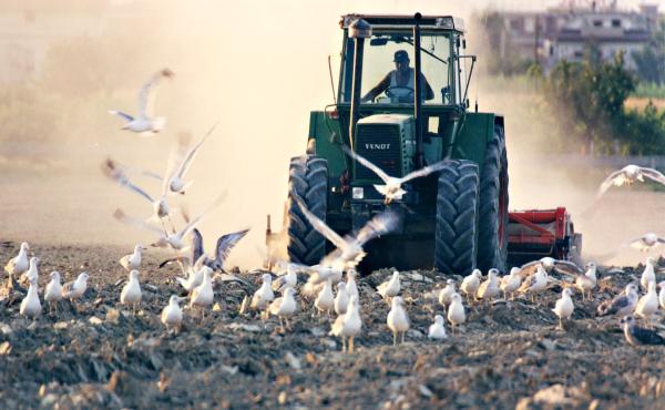 Agricooltura