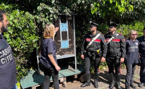 Il momento della liberazione