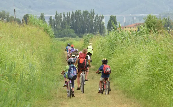 I campi a Massaciuccoli
