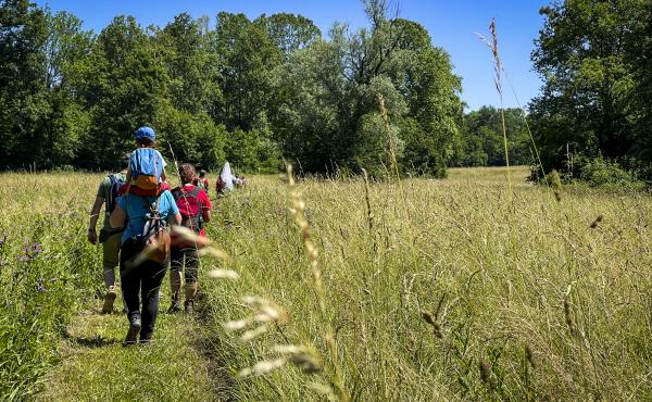 Natura alla Riserva Palude Brabbia (VA)