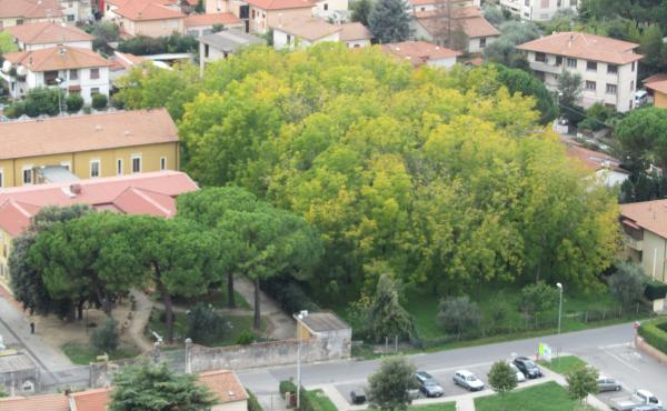 Verde in città