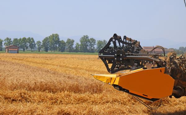 Agricoltura in pianura padana