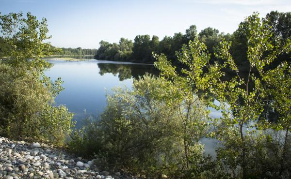 Parco del Ticino 