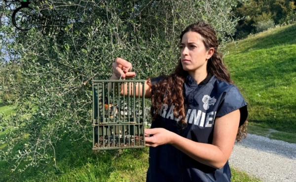 Un intervento dell'operazione Pettirosso